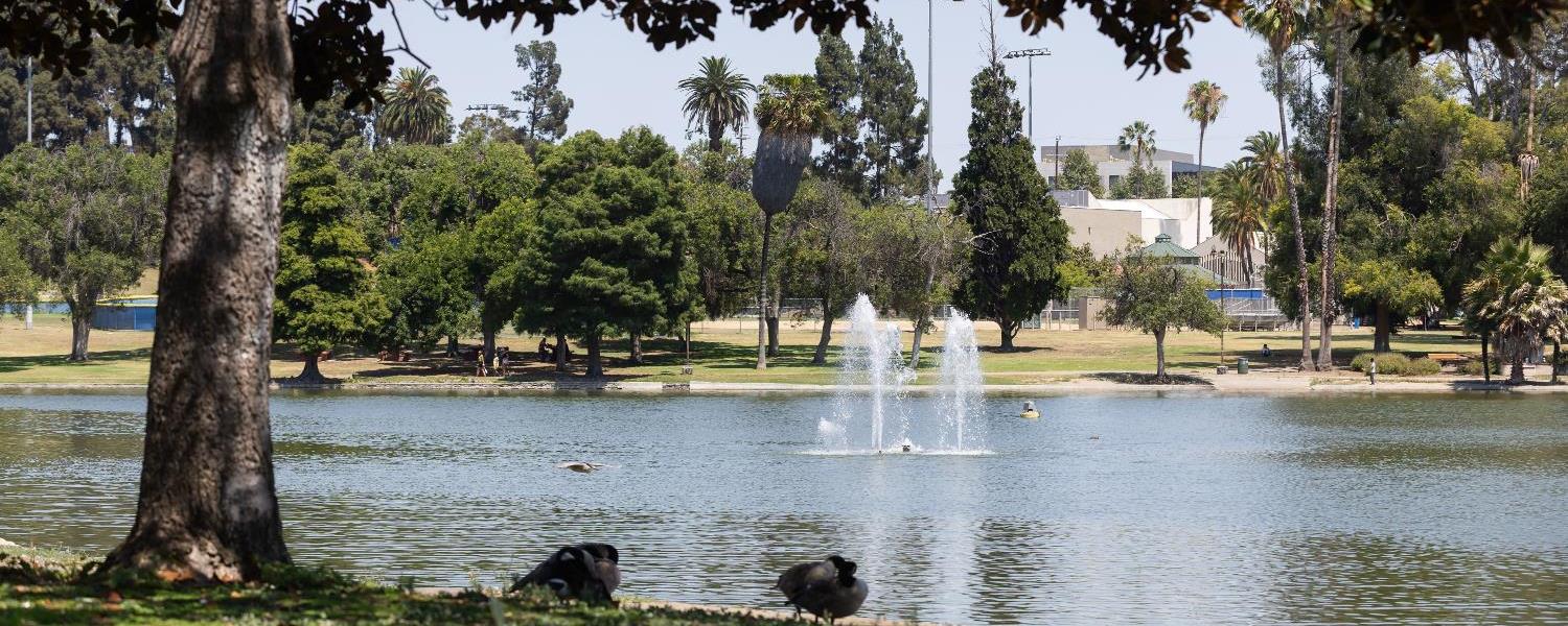 Lake at Lincoln Park with water fountain